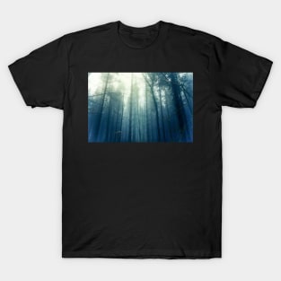 Light through the pines T-Shirt